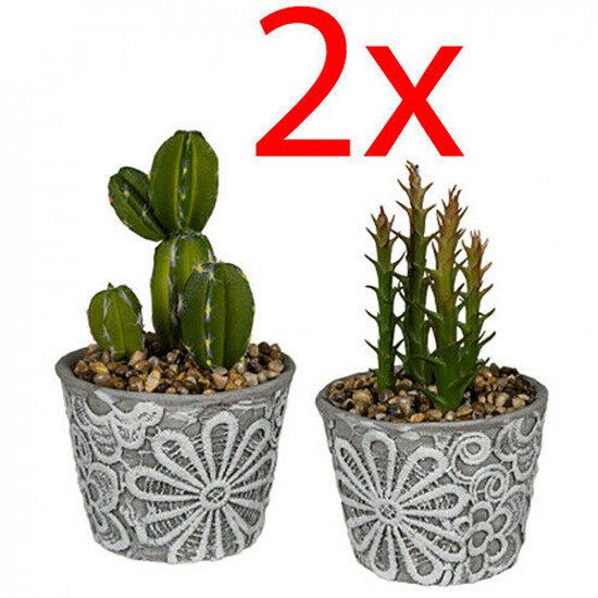 2 X Artificial Cactus Plants In Pot Home Decoration Gift Realistic Office Table Household, Miscellaneous image