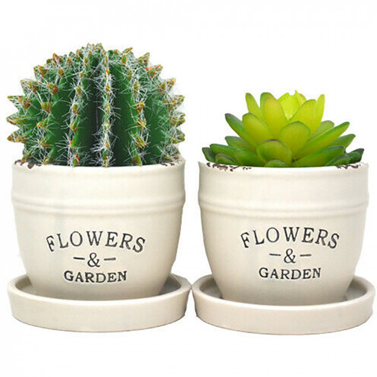 2 X Ceramic Flowers & Garden Pots With Succulents Plants Home Decor Xmas Gift Household, Miscellaneous image