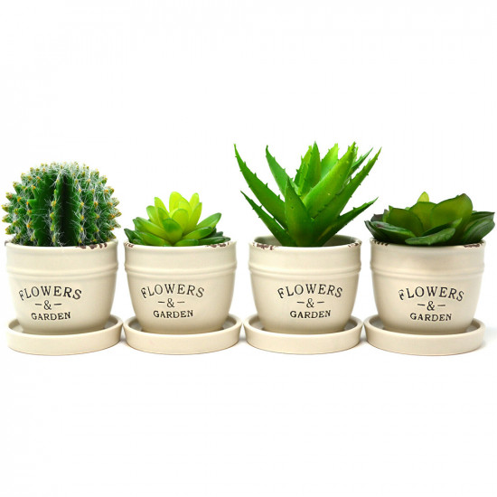 New Set Of 4 Succulent Plants Home Balcony Flowers Exotic Stones Cactus Garden image