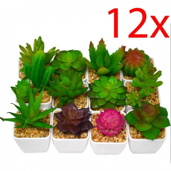 Set Of 12 Decoration Succulents Plants Indoor Home Balcony Flowers Exotic Gift Household, Miscellaneous image