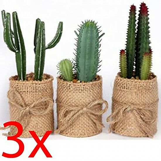Set Of 3 Cactus In Hessian Plant Pot House Office Indoor Gift 15Cm Decoration Household, Miscellaneous image