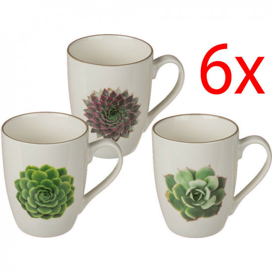 6 X Succulents Design Coffee Tea Drinking Mugs Cup Tea Bone Kitchen Plants Gift image