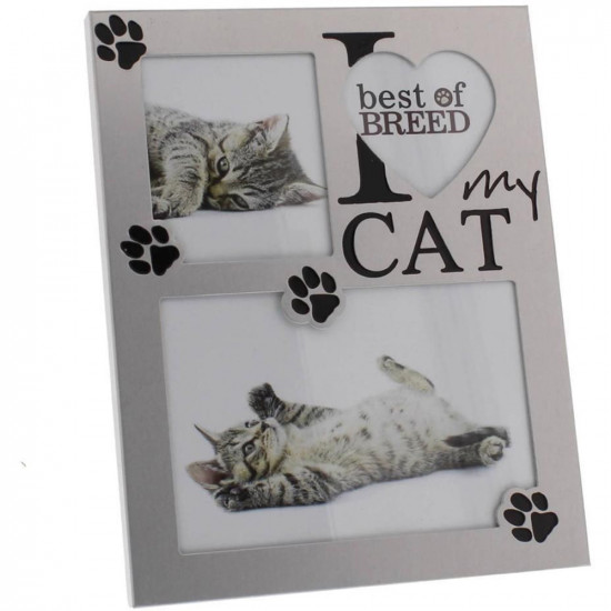 I Love My Cat Picture Photo Frame Free Standing Gift Set Box Decor Mantel New