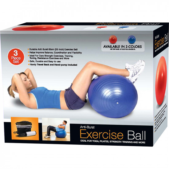 65Cm Exercise Gym Yoga Swiss Ball Fitness Pregnancy Anti Burst + Pump Carry Case